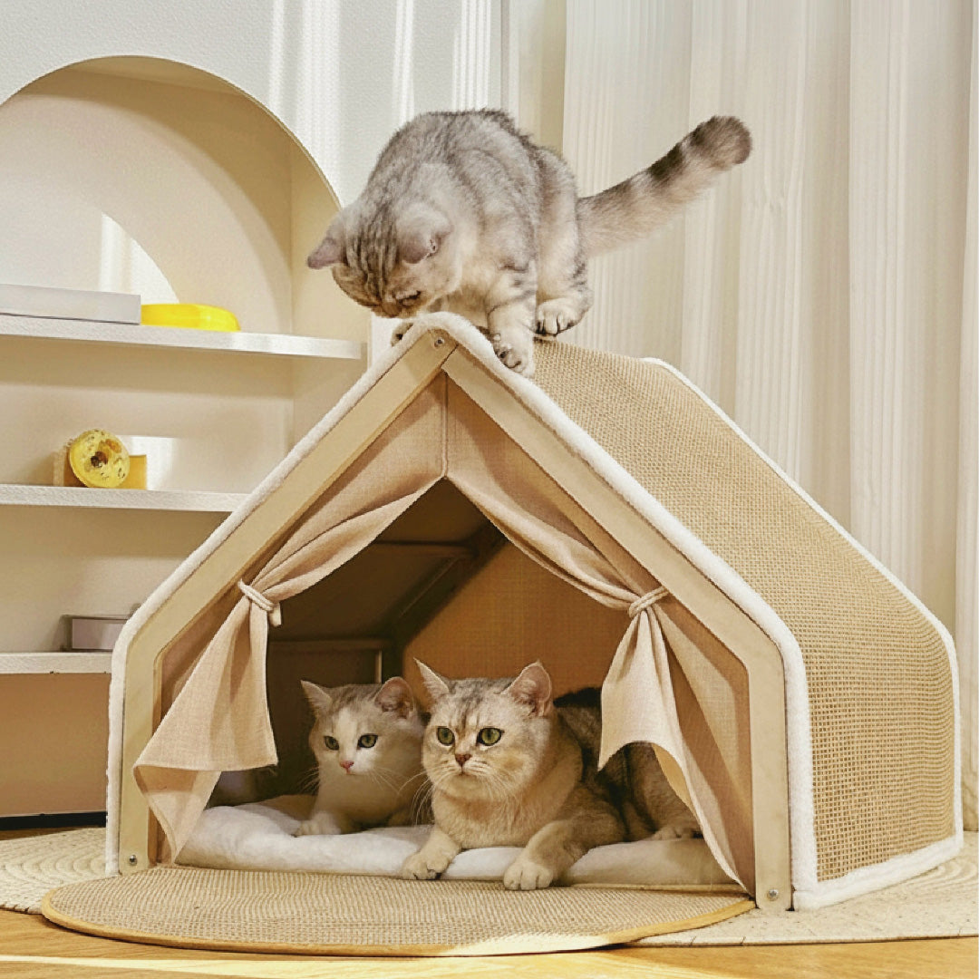 Shell Cat Bed with Scratching Board | Cozy & Safe | Taptap Pet