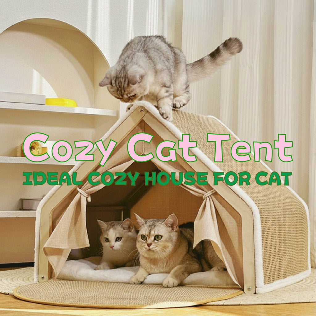 Shell Cat Bed with Scratching Board | Cozy & Safe | Taptap Pet