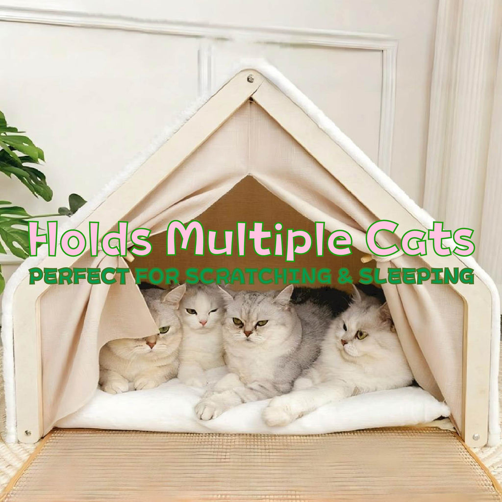 Shell Cat Bed with Scratching Board | Cozy & Safe | Taptap Pet