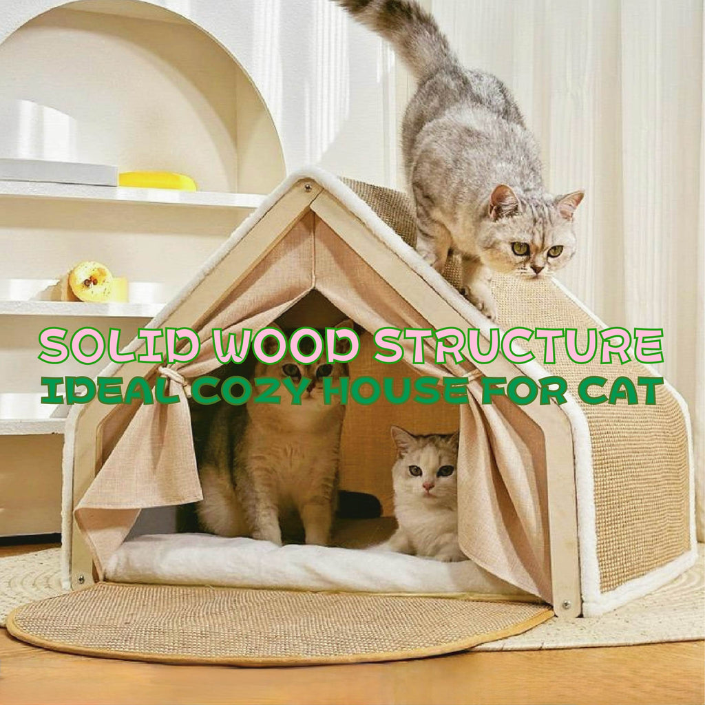 Shell Cat Bed with Scratching Board | Cozy & Safe | Taptap Pet