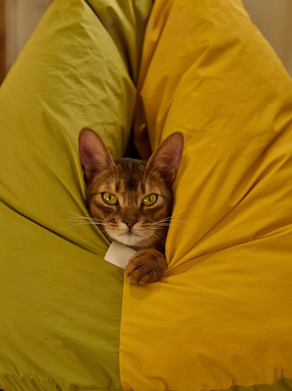 mountain-shaped-cat-bed-taptappet