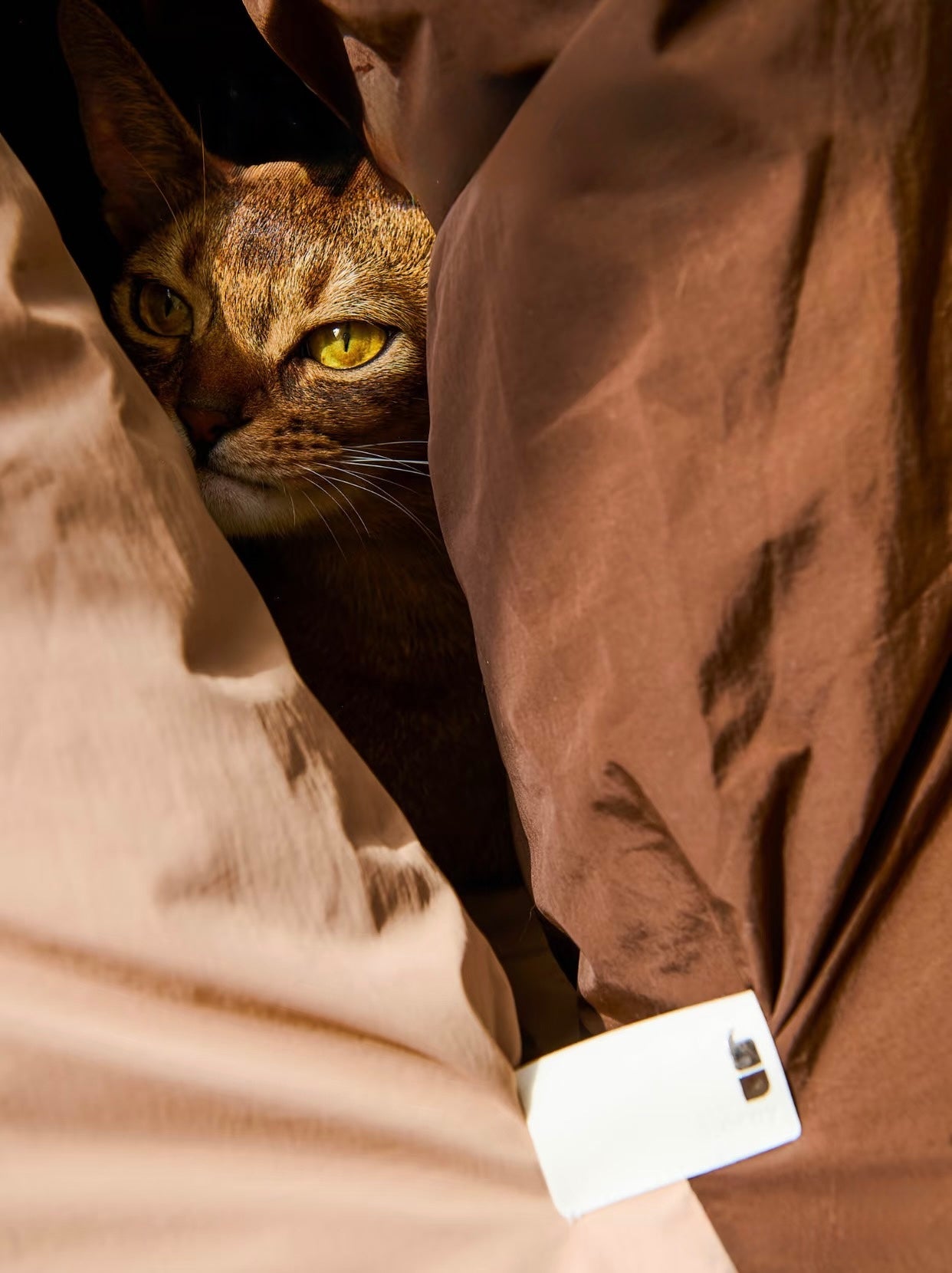 mountain-shaped-cat-bed-taptappet