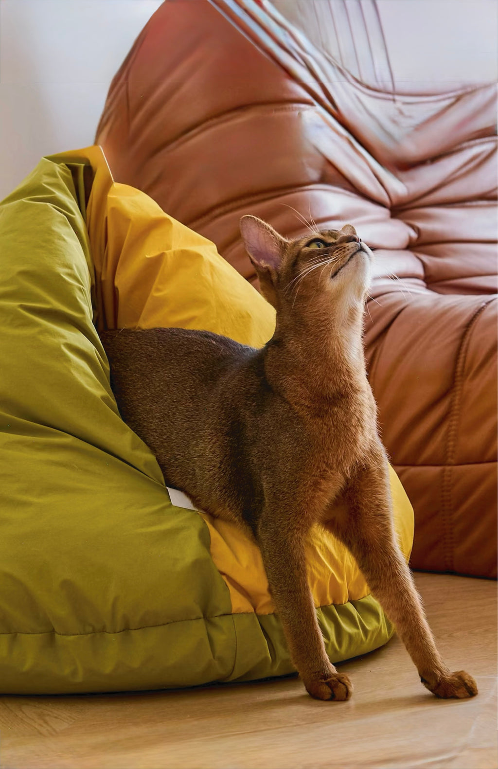 mountain-shaped-cat-bed-taptappet