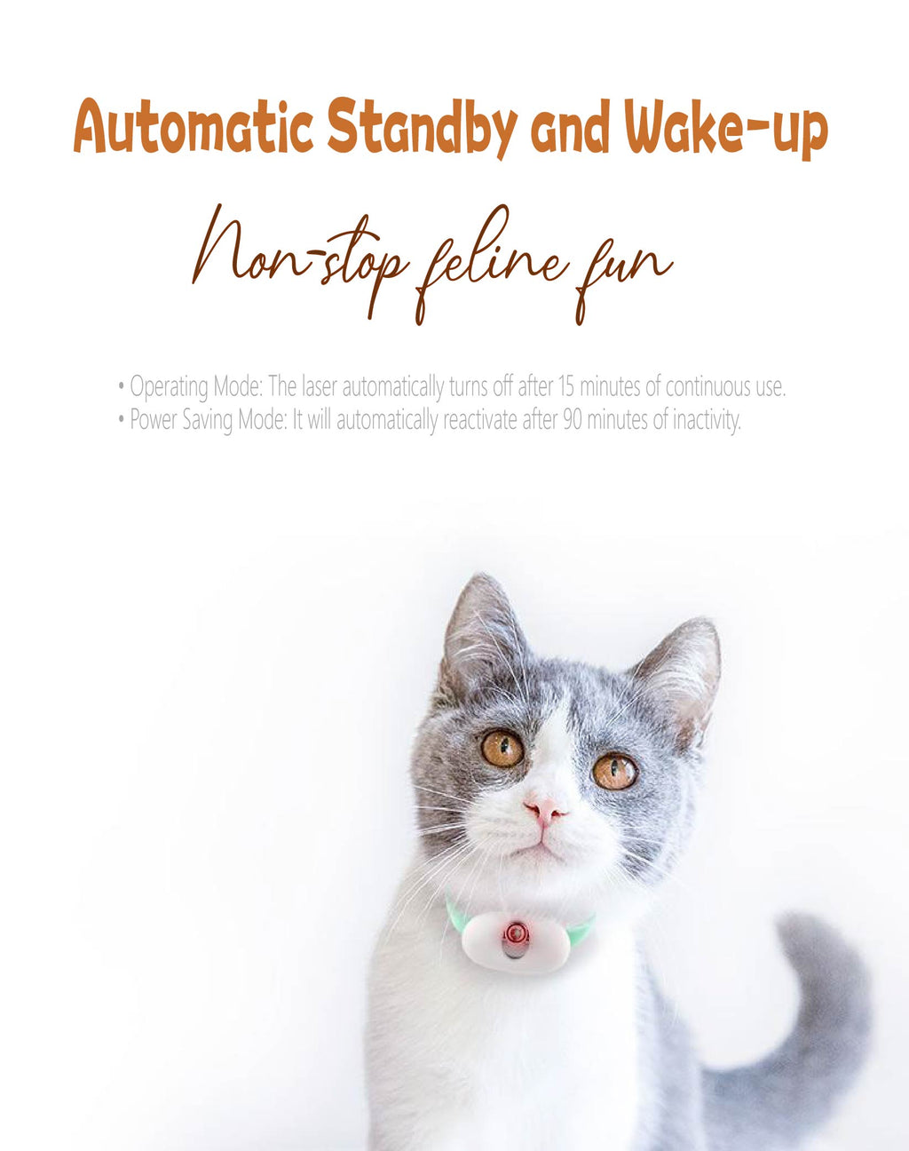 hands-free-laser-cat-toy-taptappet