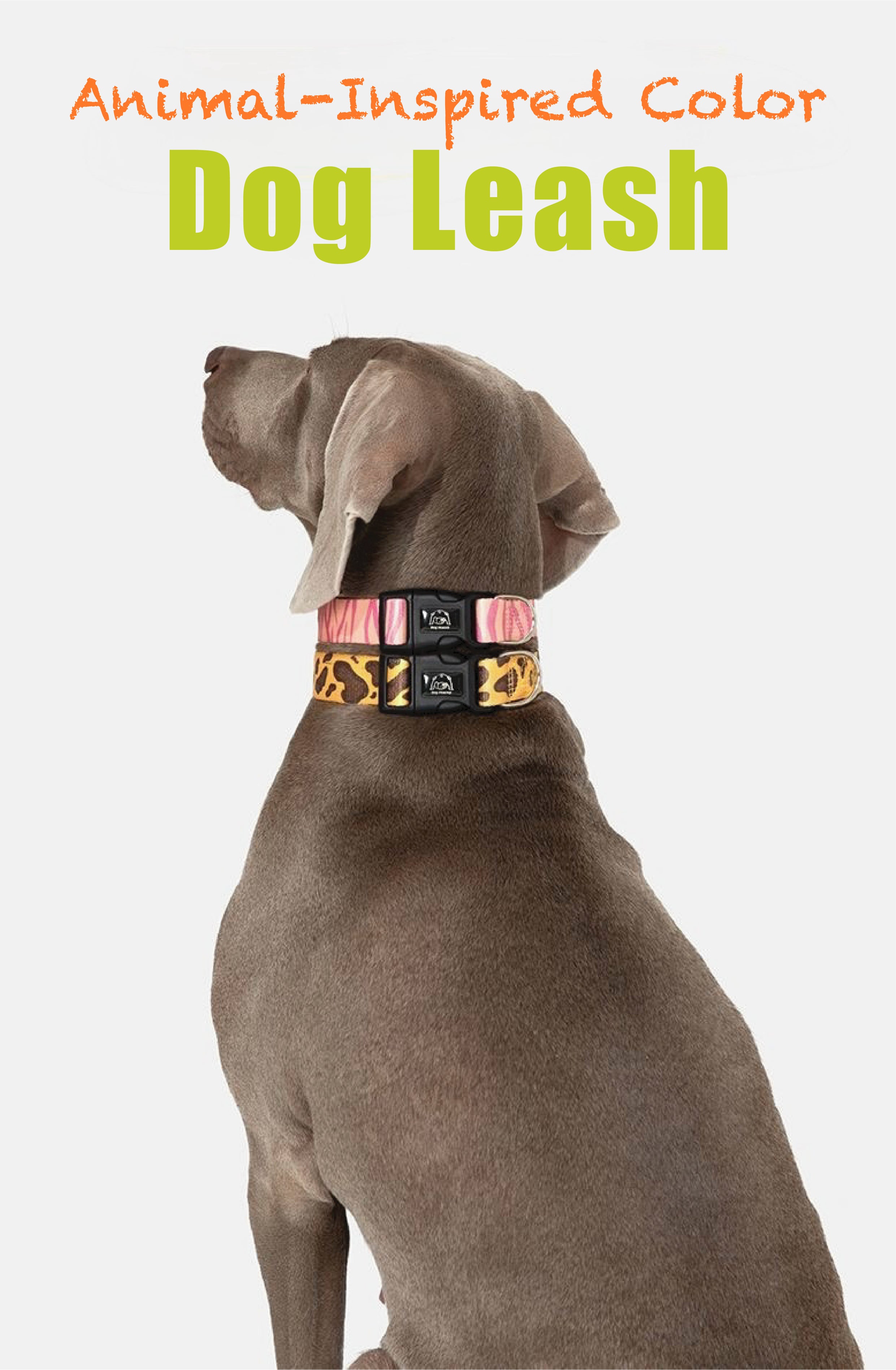 Stylish Animal-Print Dog Leash – No Pull, No Tangle, Soft-Grip Handle | Leopard & Zebra Design