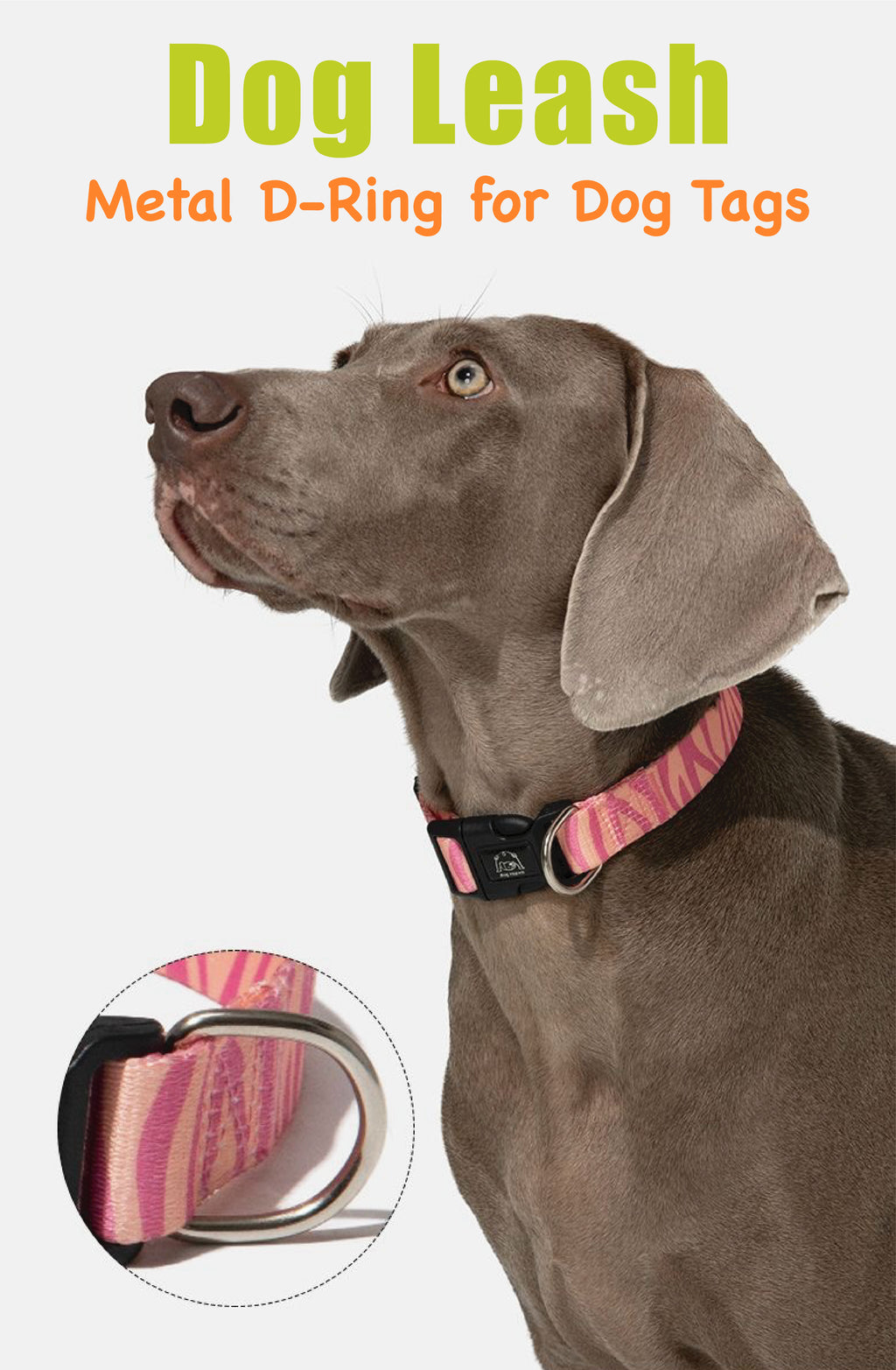Stylish Animal-Print Dog Leash – No Pull, No Tangle, Soft-Grip Handle | Leopard & Zebra Design
