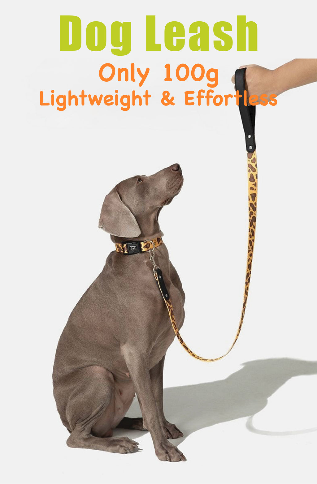 Stylish Animal-Print Dog Leash – No Pull, No Tangle, Soft-Grip Handle | Leopard & Zebra Design