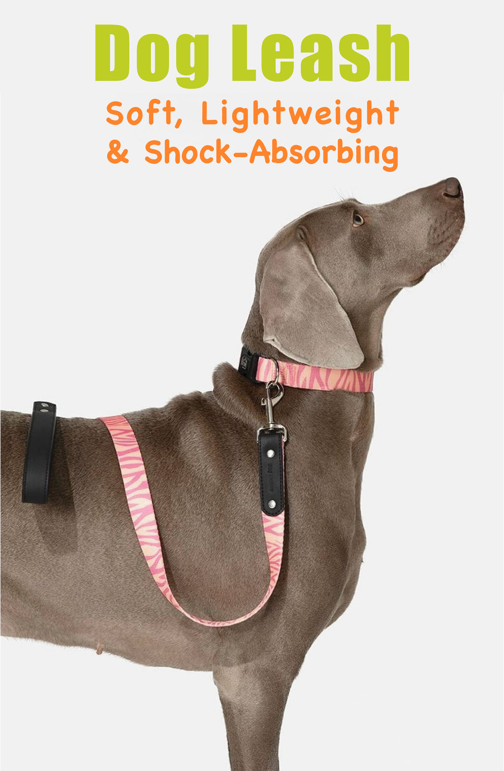 Stylish Animal-Print Dog Leash – No Pull, No Tangle, Soft-Grip Handle | Leopard & Zebra Design