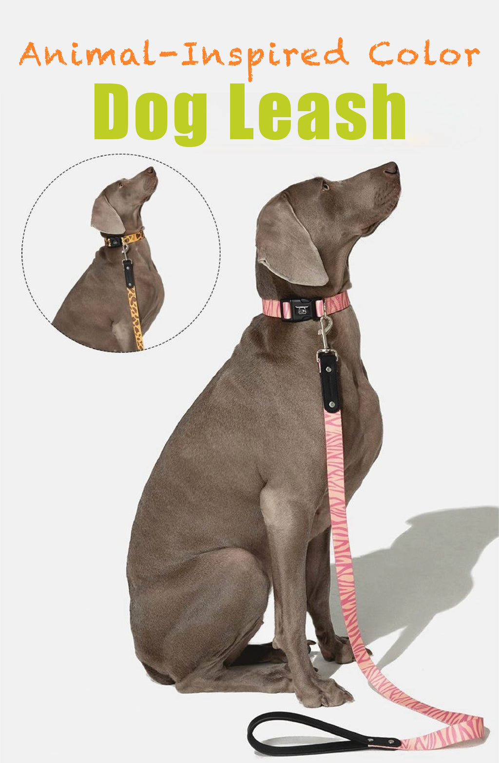 Stylish Animal-Print Dog Leash – No Pull, No Tangle, Soft-Grip Handle | Leopard & Zebra Design