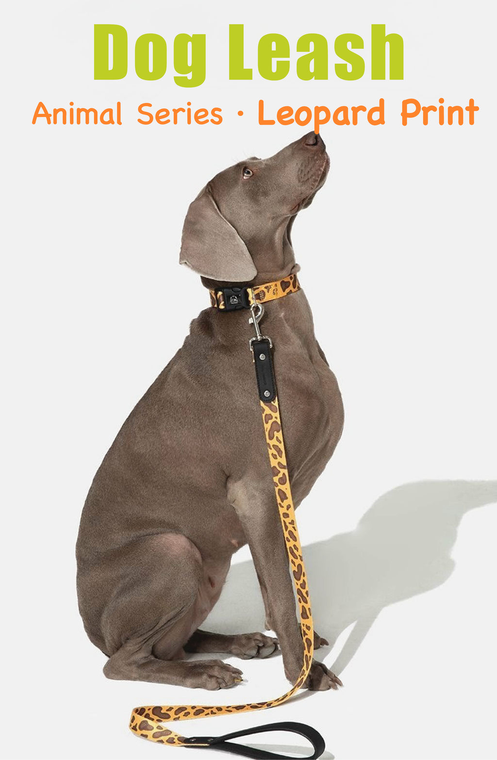 Stylish Animal-Print Dog Leash – No Pull, No Tangle, Soft-Grip Handle | Leopard & Zebra Design