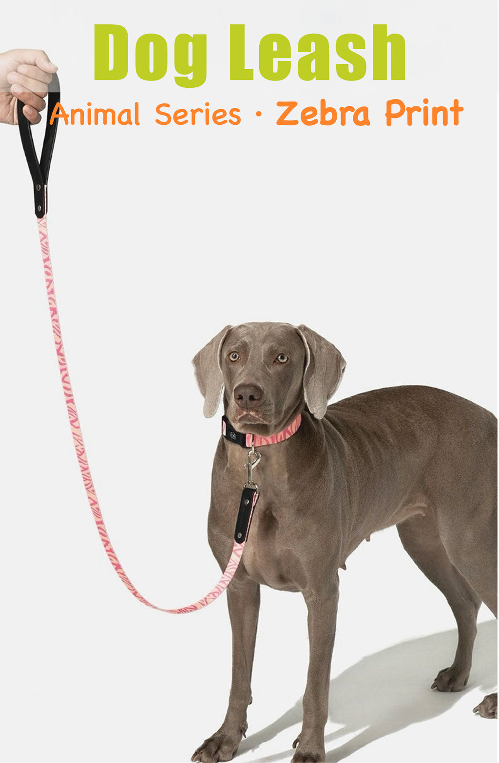 Stylish Animal-Print Dog Leash – No Pull, No Tangle, Soft-Grip Handle | Leopard & Zebra Design