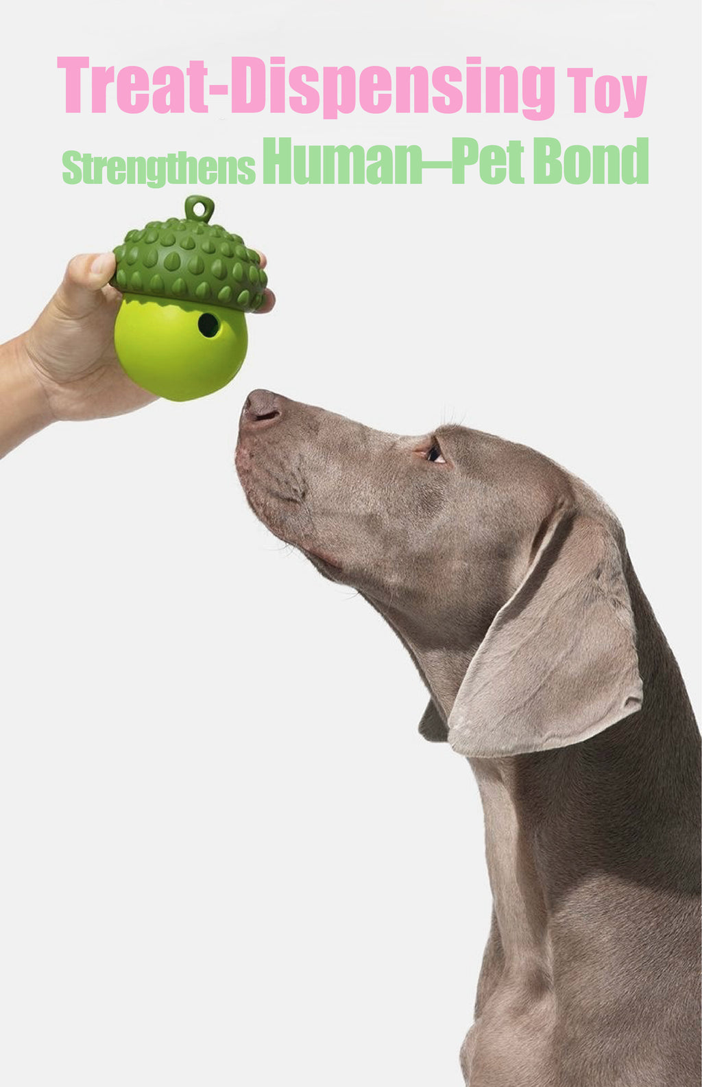 Interactive Treat-Dispensing Dog Toy – Detachable Wobble Design for Chewing, Dental Care & Solo Play