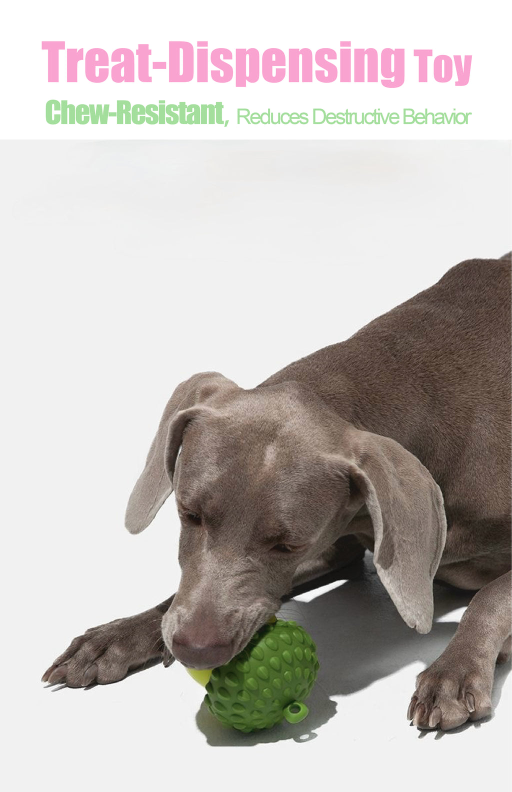 Interactive Treat-Dispensing Dog Toy – Detachable Wobble Design for Chewing, Dental Care & Solo Play
