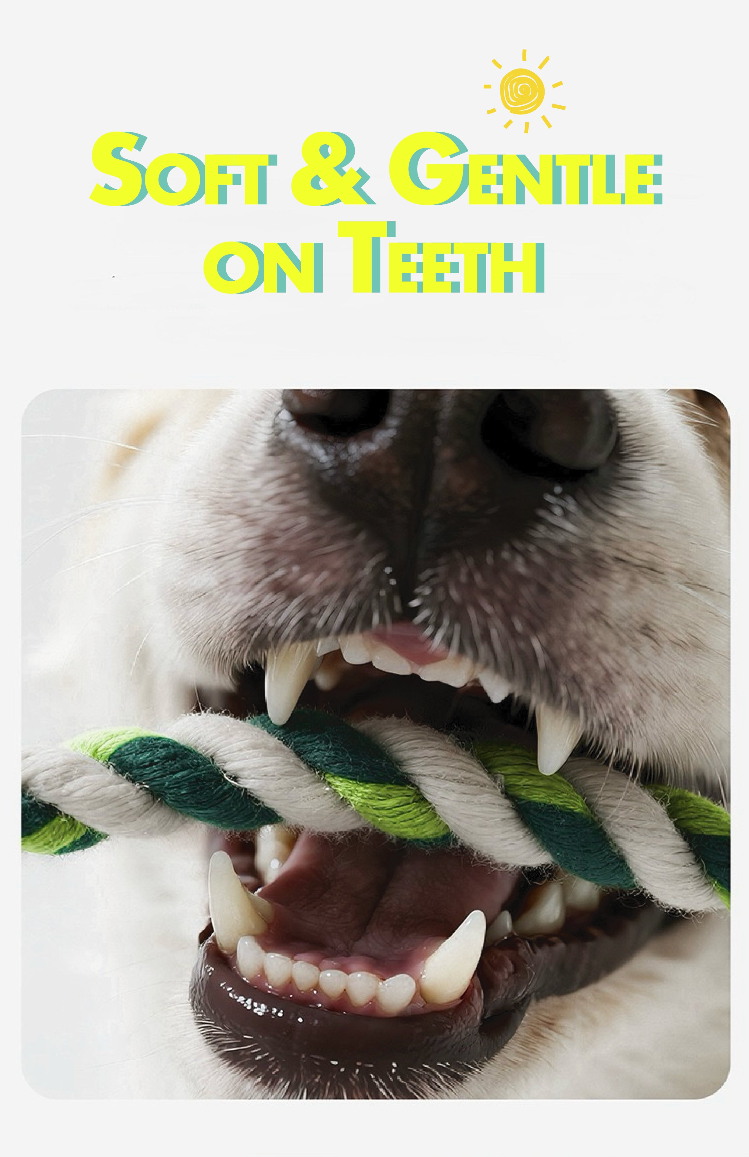 Durable Plush Squeaky Dog Toy – Interactive Tug Rope Toy for Dogs | Chew-Resistant Animal Design for Fun Play & Training
